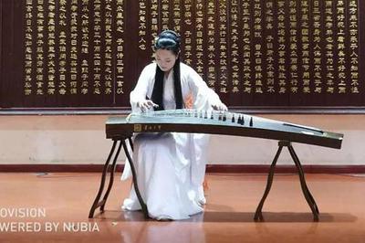 第八届中国(国际)器乐文化艺术节南阳站演出活动圆满举行，助推文化艺术交流新篇章